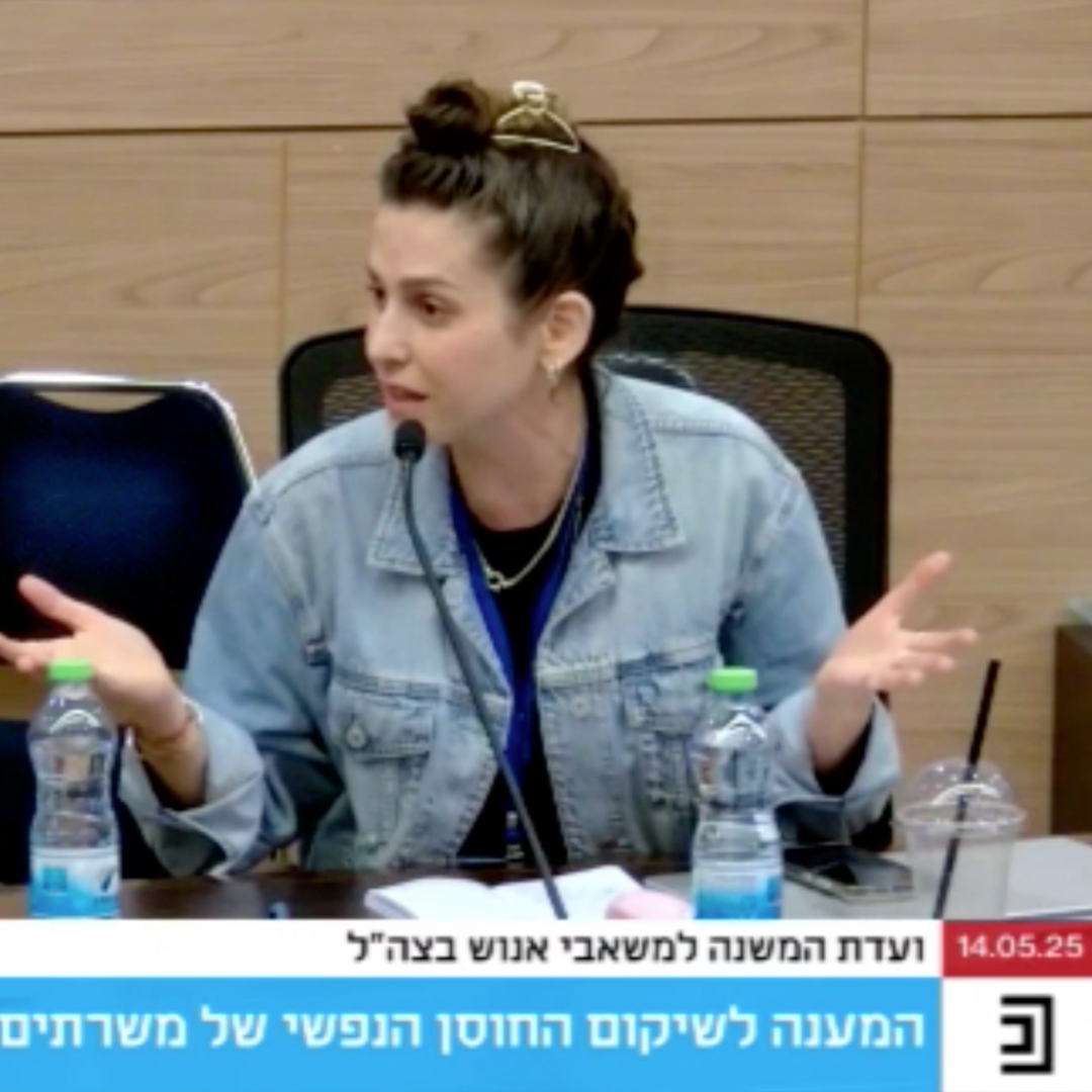 אילנית כנסת