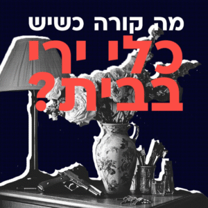 מה קורה כשיש כלי נשק בבית
