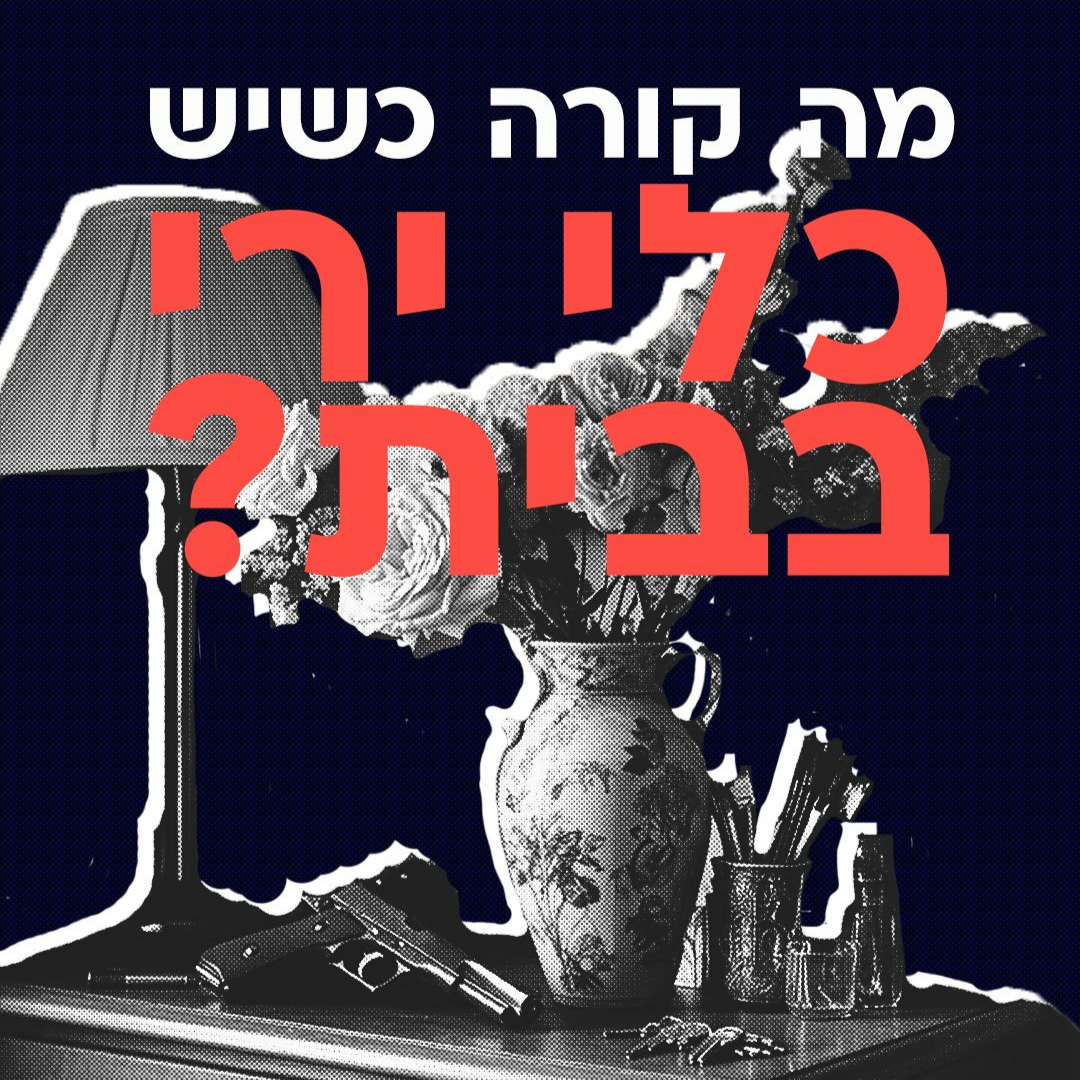 מה קורה כשיש כלי נשק בבית